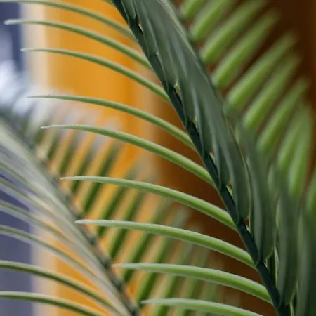 Chic - Cozy And Stylish - Center - Jp33 Διαμέρισμα *