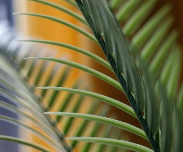 Chic - Cozy And Stylish - Center - Jp33 Apartamento *