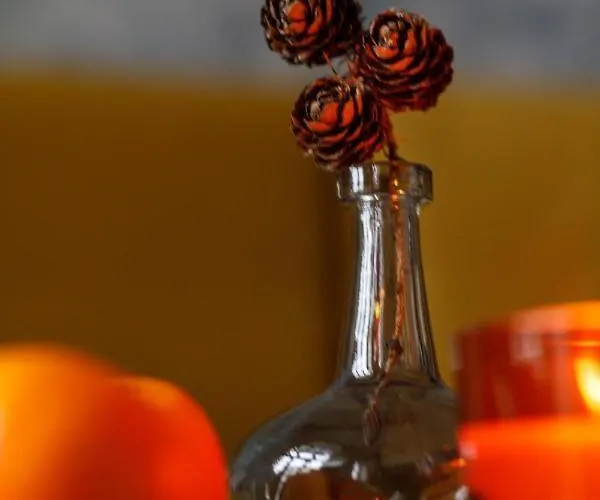 Apartamento Chic - Cozy And Stylish - Center - Jp33